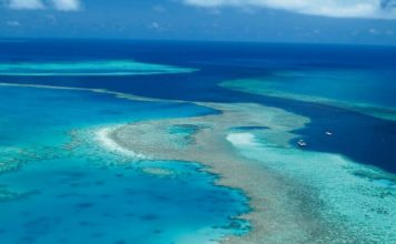 The Daily Brief – 13th September, 2016