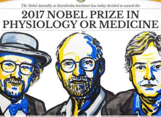 The Daily Brief – 2nd October 2017