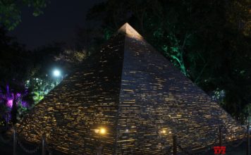 The Daily Brief – 25th February 2019